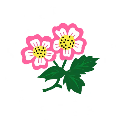 Society of Iowa Rugby Referees logo. It is a pink, wild rose flower. The wild rose is the state flower of Iowa